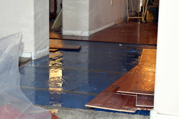 Professional Crawl Space Water Removal technician working in Clermont, IN